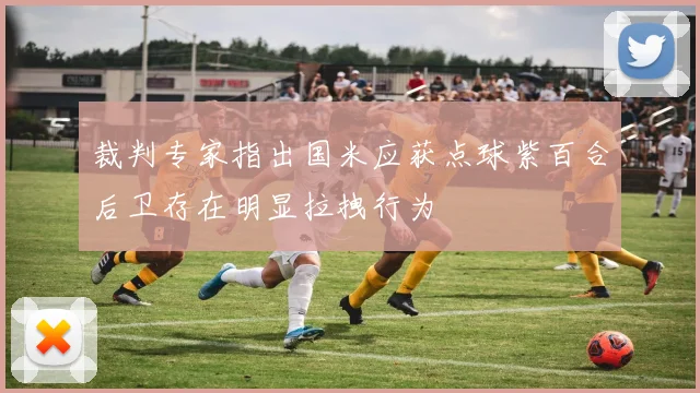 裁判专家指出国米应获点球紫百合后卫存在明显拉拽行为