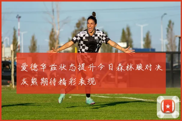 爱德华兹状态提升今日森林狼对决灰熊期待精彩表现